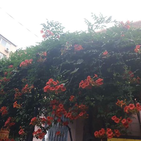 Aparthotel agmashenebeli95 Tbilisi Exterior foto