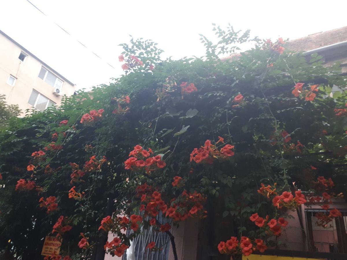 Aparthotel agmashenebeli95 Tbilisi Exterior foto
